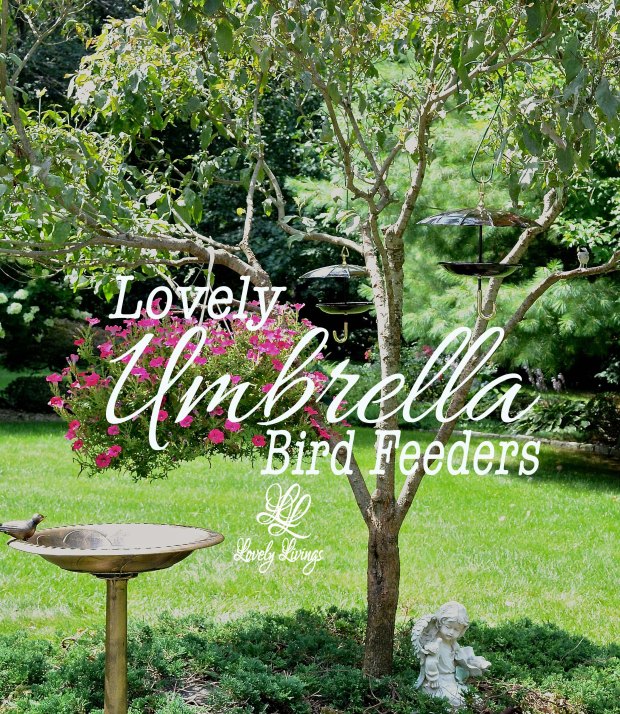 Lovely Umbrella Bird Feeders